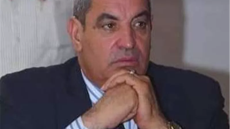 برلماني: الدولة المصرية تتحرك بملف القمح بطرق أخرى