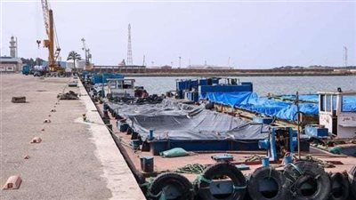 ميناء دمياط: 34 سفينة متواجدة على الأرصفة