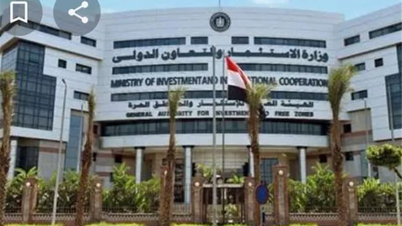 رانيا المشاط: نستهدف رفع كفاءة الأعمال حول التحول الخضر والعمل المناخي