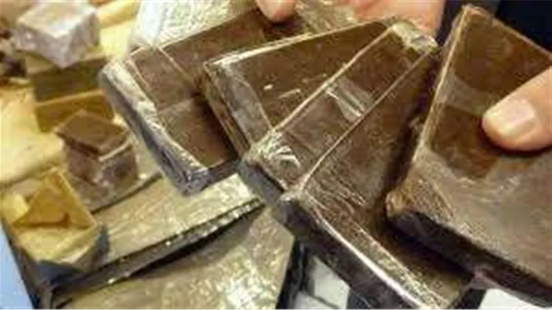 حبس شخصين 4 أيام لاتجارهما بالمخدرات في القاهرة