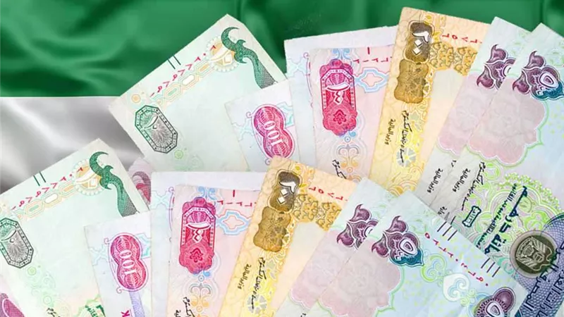 أسعار صرف الدرهم الإماراتي مقابل الجنيه المصري اليوم