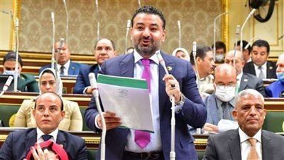 عضو لجنة حقوق الإنسان: استجابة الرئيس لمقترح مجلس الأمناء الوطني تعكس الجدية