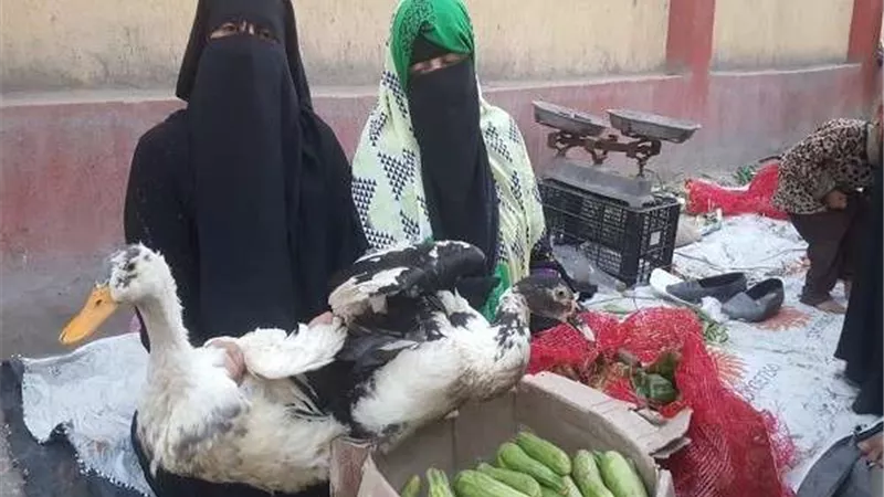 القضاء يثأر لبائعة طيور دمنهور