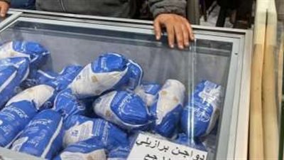 الفراخ البرازيلى سبب في انخفاض أسعار الدواجن 