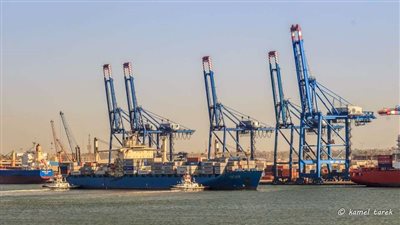 ميناء دمياط يستقبل 31 سفينة بضائع خلال 24 ساعة ماضية