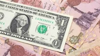 أسعار الدولار أمام الجنيه المصري قبل اجتماع البنك المركزي