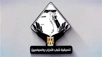 إنفوجراف| «التنسيقية» ترصد جهود الدولة في مواجهة العنف ضد المرأة