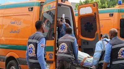 مصرع وإصابة 3 أشخاص في حادث سير بالصحراوي الغربي في المنيا