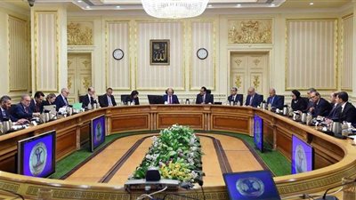 تصفية شركة ادفينا.. الحكومة توضح الحقائق