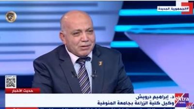 الدكتور إبراهيم درويش يكشف دور التقاوي الجيدة في زيادة الإنتاج الزراعي