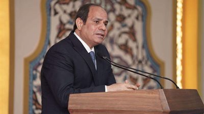الرئيس السيسي : لن نسمح لأحد برفع السلاح ضد الدولة.. وسنعبر الأزمة الاقتصادية بأمان