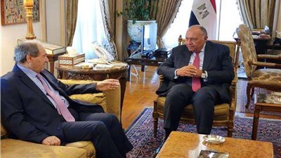 دلالات لقاء سامح شكري مع نظيره السوري في أول زيارة من 10 سنوات