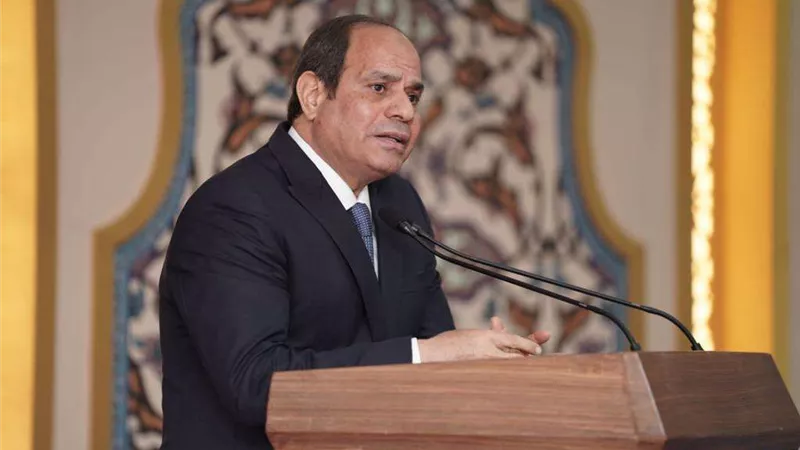 الرئيس السيسي : لن نسمح لأحد برفع السلاح ضد الدولة.. وسنعبر الأزمة الاقتصادية بأمان