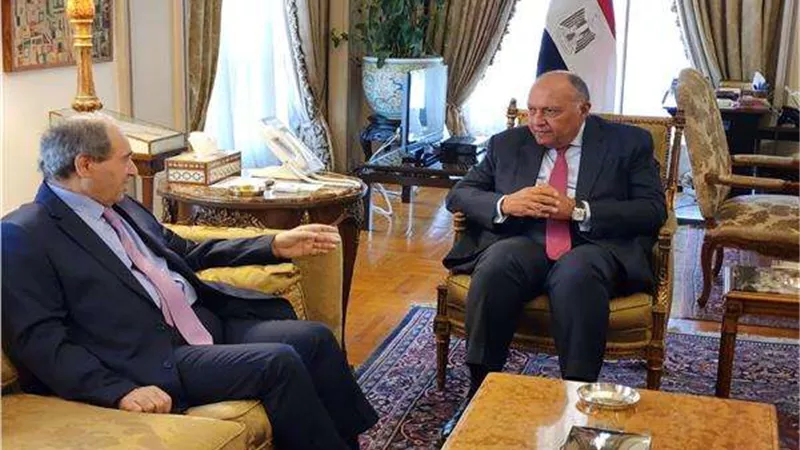 دلالات لقاء سامح شكري مع نظيره السوري في أول زيارة من 10 سنوات