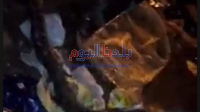 حقيقة ظهور ثعبان نافق وسط أكوام القمامة بالمحلة (فيديو)