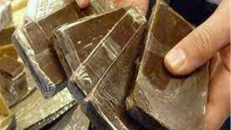 ضبط 3 أشخاص بحوزتهم 120 طربة لمخدر الحشيش بالدقهلية
