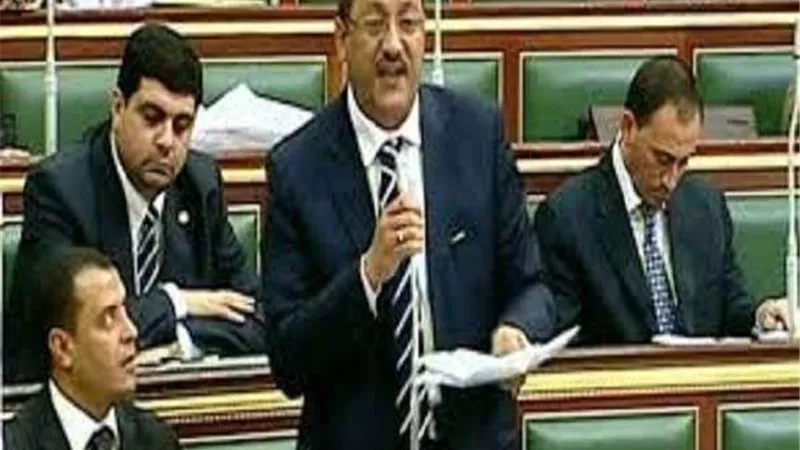أحمد أبوحته يستنكر قرار البرلمان الأوروبي.. ويصرح: أرفض بشدة التدخل في سيادة مصر