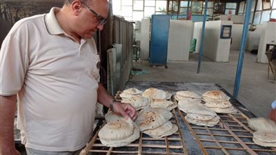 ضبط 25 مخالفة تموينية خلال حملات رقابية بمركز ديرمواس بالمنيا