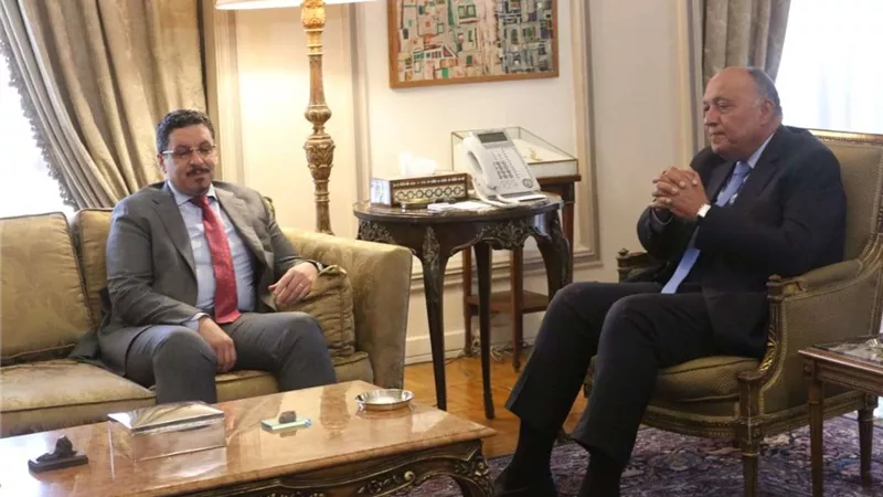 رؤساء أحزاب: مصر «رمانة الميزان» في المنطقة وستواصل دعمها للقضايا العربية