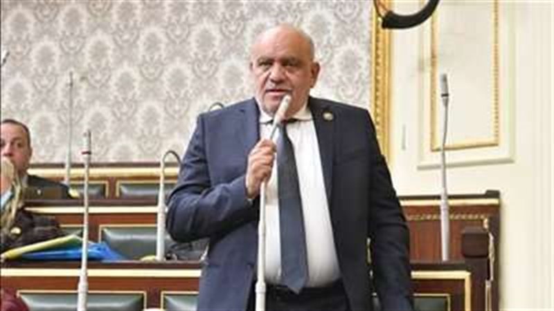 النائب سيد حنفي