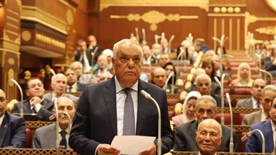 التراس يؤدي اليمن الدستورية أمام الشيوخ