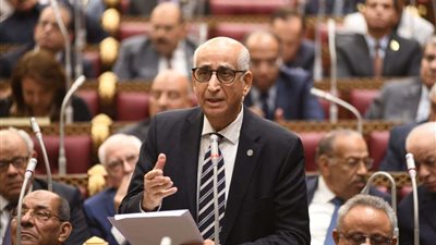 حسانين توفيق: نحتاج لاستراتيجية متكاملة في الاقتصاد الدائري