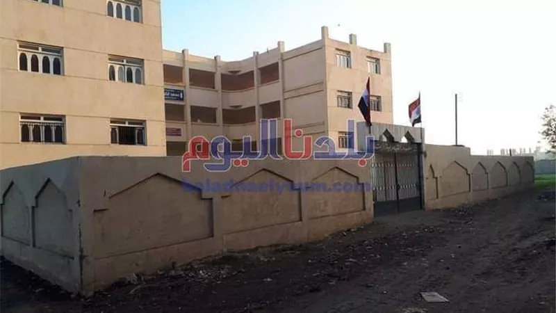 بالجهود الذاتية.. 12 مليون جنيه تكلفة مشروعات قرية 
