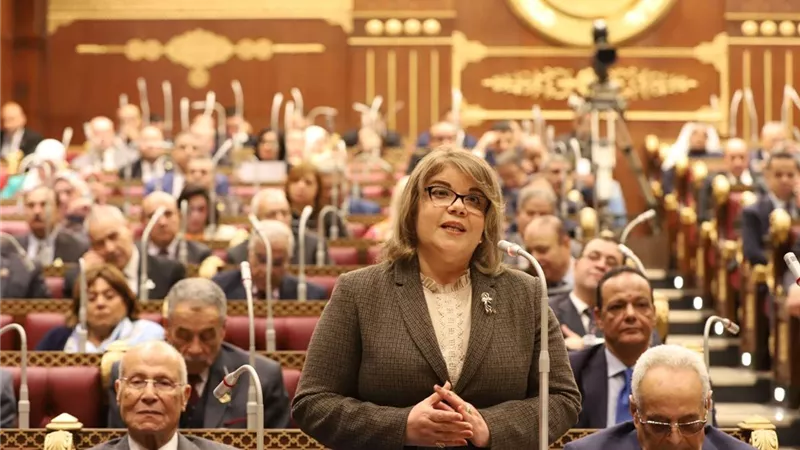 فيبي فوزي: الاقتصاد الناجح يحتاج الى تضافر جهود الجميع