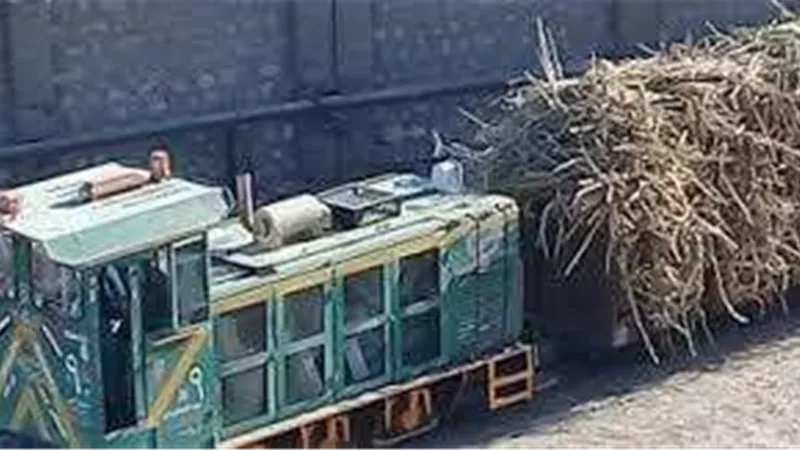 خروج قطار قصب عن القضبان واصطدامه بمنزل في أسوان