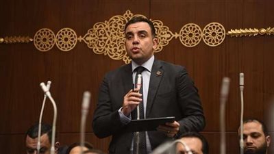 برلماني: حجم التحديات المائية التي تمر بها مصر كبيرة