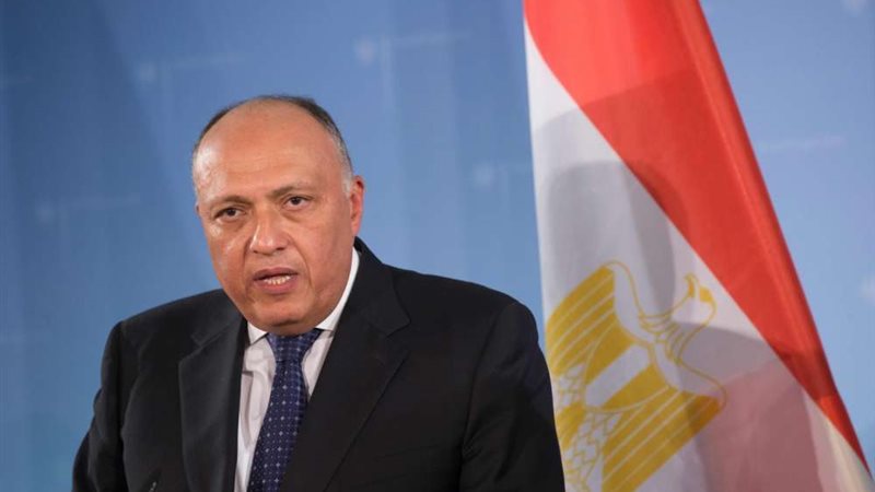 وزير الخارجية المصري