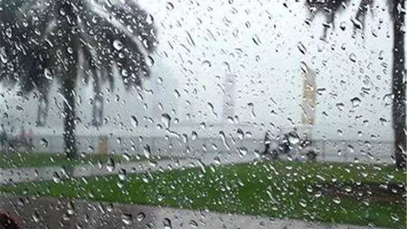هل المطر من علامات ليلة القدر؟.. الإفتاء تجيب
