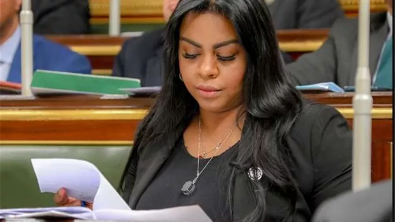 نيفين حمدي: تعديلات الجنسية الجديدة تحقق مبدأ المساواة بين الراجل والمرأة