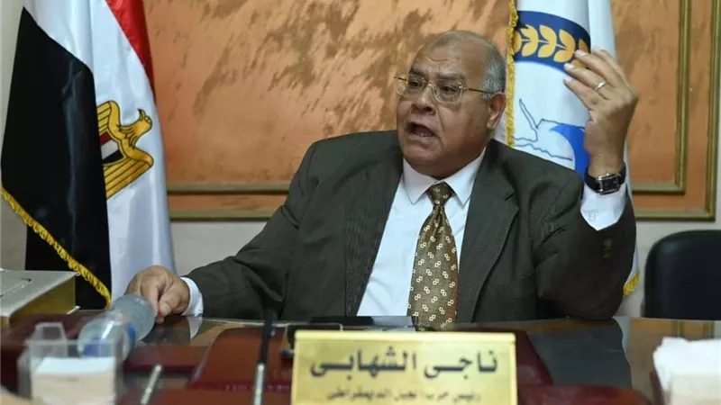 الشهابي: زيادة سعر القمح هدية من الرئيس للفلاح ويفتح طريق للإكتفاء الذاتي