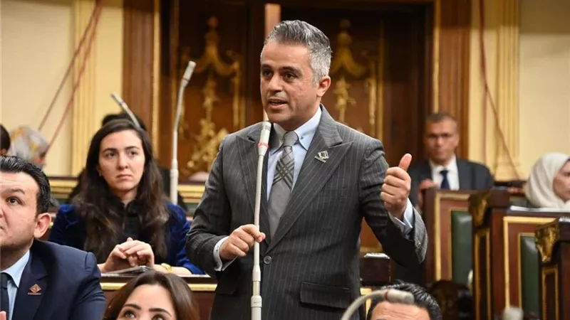 النائب أحمد فتحي:يوافق على منحة المساعدة بين مصر والولايات المتحدة الأمريكية بشأن الحوكمة الاقتصادية الشاملة