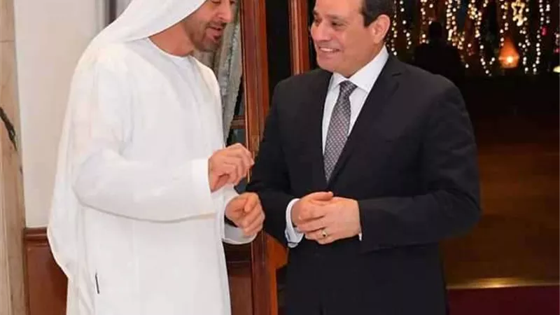 محمد بن زايد: سعدت بلقاء أخي الرئيس السيسي في القاهرة