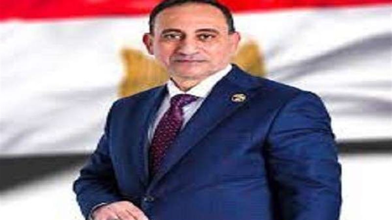 النائب محمد زين الدين