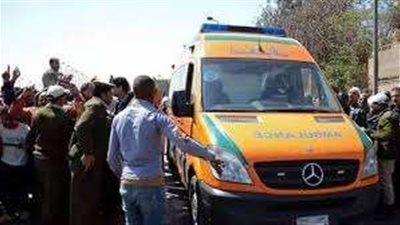 جثتين و12 مصاب في تصادم ميكروباص وسيارة نقل على الإسماعيلية الصحراوى