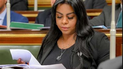 برلمانية: لقاء السيسي وبن زايد يعكس علاقات التعاون بين البلدين