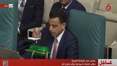 مندوب مصر بالجامعة العربية: السودان عمق استراتيجي لمصر وندعم شعبه