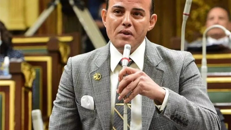 برلماني: تشكيل المجلس الأعلى للاستثمار يُنمي الاقتصاد