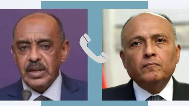 للوقوف على تطورات الأوضاع.. سامح شكرى يجري اتصالاً بنظيره السوداني