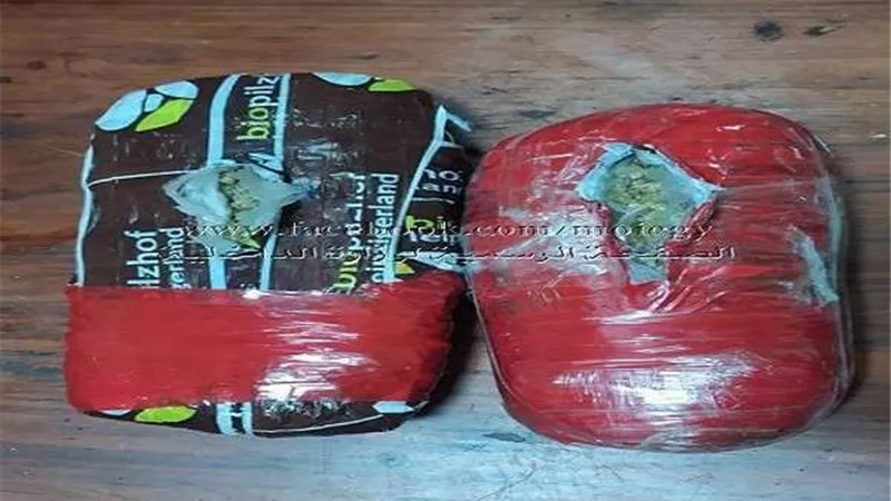 ضبط سيدة عُثر بداخل ملابسها على كيلو بانجو.. وشخص بحوزته 6 طرب حشيش