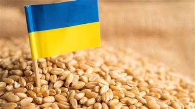 نظام كييف يعلن تصدير الحبوب الأوكرانية عبر بولندا