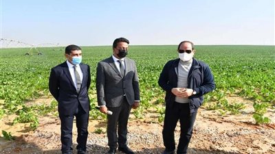 سولاف درويش: مشروع مستقبل مصر نهضة كبيرة فى القطاع الزراعي