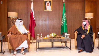 رئيس مجلس الشيوخ الباكستانى يرحب بالمصالحة العربية