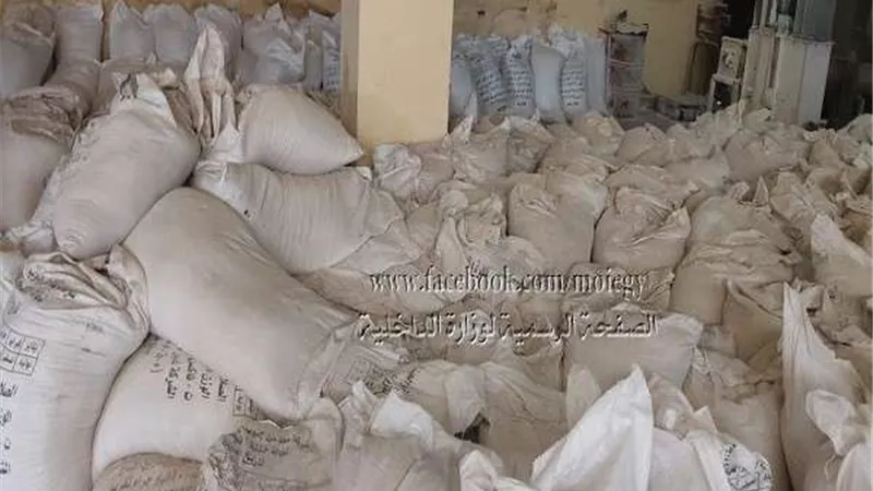ضبط مدير مطحن استولى على الدقيق المدعم لبيعه بالسوق السوداء