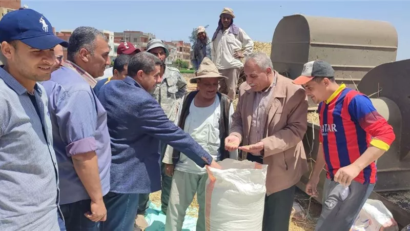 بدء موسم توريد القمح بصوامع وشون الغربية