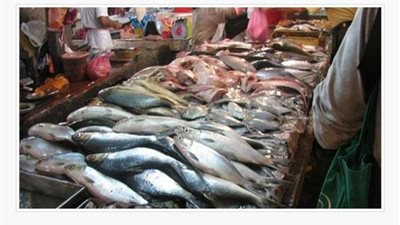 أسعار السمك اليوم الثلاثاء 25 - 4 - 2023