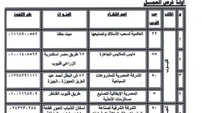 القوى العاملة بالقليوبية توفر 840 فرصة عمل بـ6 شركات.. اعرف الراتب والشروط